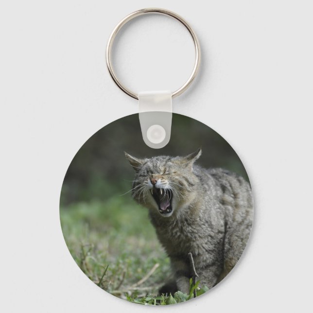 Porte-clés Wildcat (Recto)