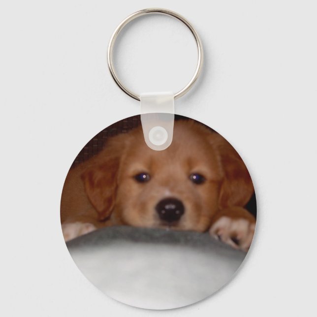 Porte-clés Winsome Porte - clé Pup (Recto)