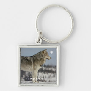 Porte-clés Winter - Wolf
