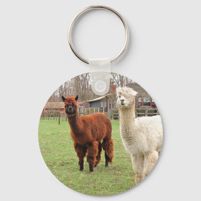Porte-clés Wolly Alpacas ~ porte - clé (Recto)