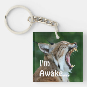 Porte-clés Yawning Bobcat