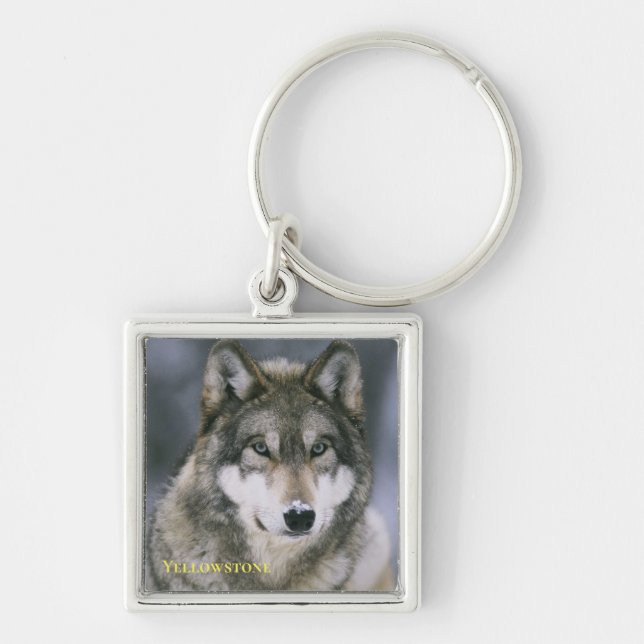 Porte-clés Yellowstone Wolf Porte - clé (Devant)