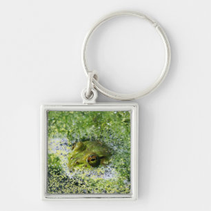 Porte-clés Yeux de grenouille dans un étang
