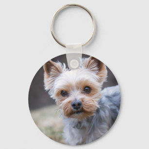 Porte-clés Yorkshire terrier, chien, animal de compagnie