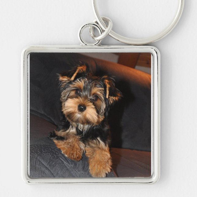 Porte-clés Yorkshire Terrier Chien Porte - clé (Devant)