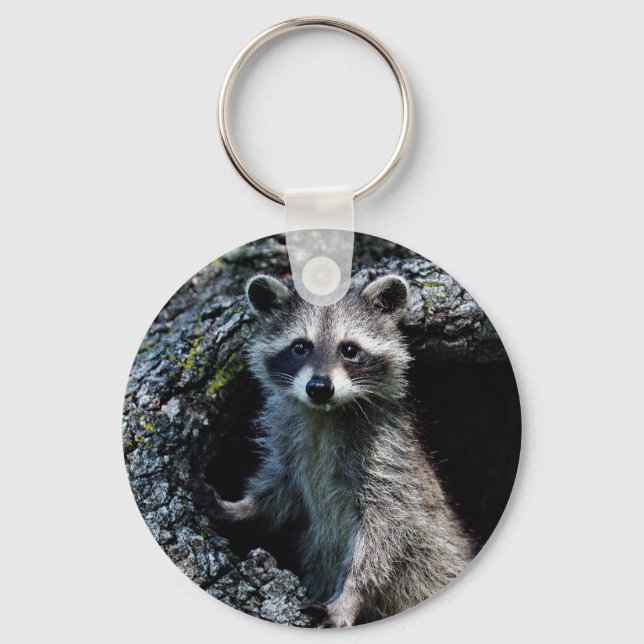 Porte-clés Young Raccoon (Recto)