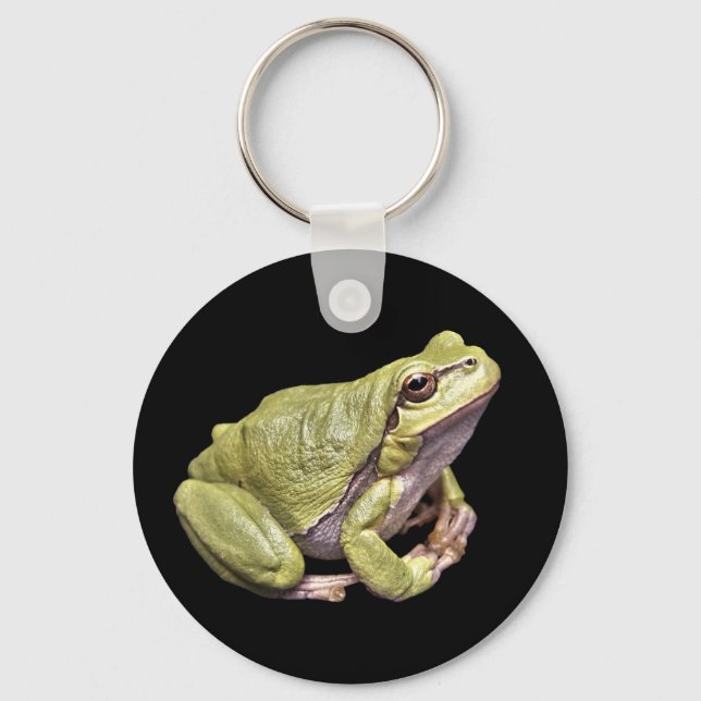 Porte-clés Zen Frog mignonne méditation verte Treefrog noir (Recto)