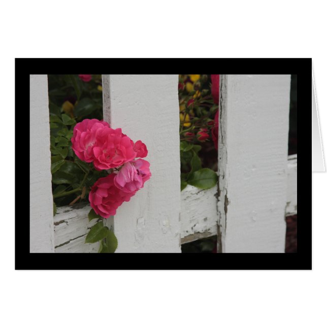 Porte de jardin (Devant horizontal)