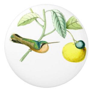 Porte En Céramique Bouton de fruit d'animaux de faune d'oiseau de