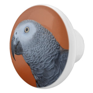 Porte En Céramique Bouton de perroquet gris orange africain