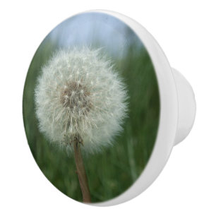 Porte En Céramique Bouton de raboteuse de Seedhead de pissenlit
