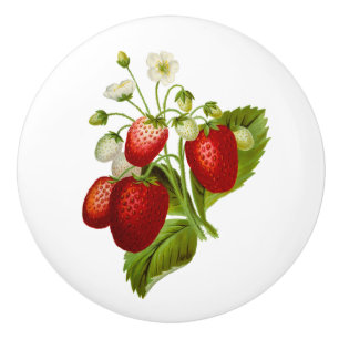 Porte En Céramique Bouton juteux de tiroir de buffet de fraise