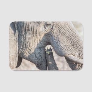 Porte-nom Alimentation des éléphants