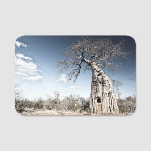 Porte-nom Baobab Tree au Mana Pools National Park, Zimbabwe.