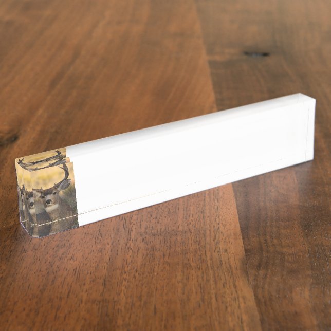 Porte-nom cerfs communs (Taille)