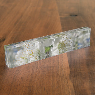 Porte-nom cerisiers blancs fleuris au printemps contre ciel 