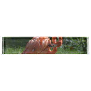 Porte-nom Flamant rose rose parfait