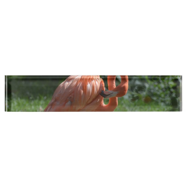Porte-nom Flamant rose rose parfait (Devant)