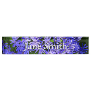 Porte-nom Fleurs de type Marguerite Bleue Photographie de la