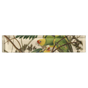 Porte-nom Illustration Audubon Carolina Parrot Bird