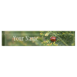 Porte-nom Ladybug