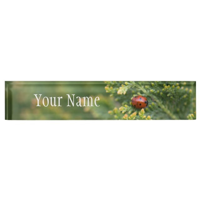 Porte-nom Ladybug (Devant)