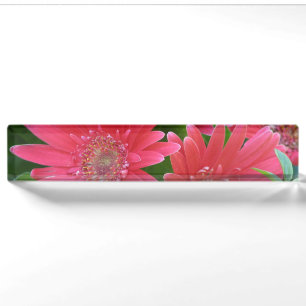 Porte-nom Marguerite rose de Gerbera