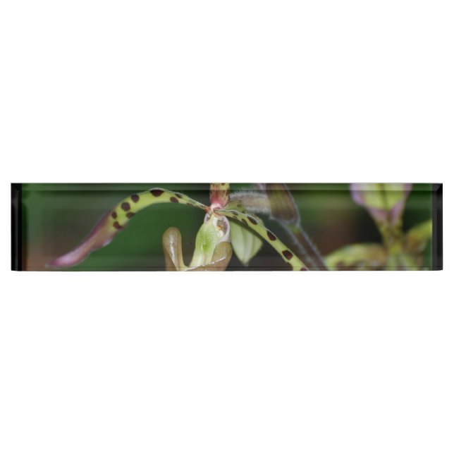 Porte-nom Orchidée unique (Devant)