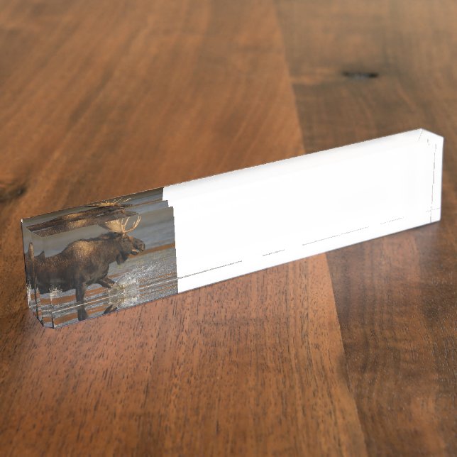 Porte-nom Orignaux de Taureau (Taille)