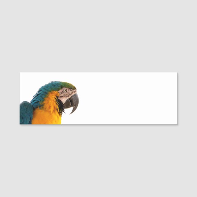 Porte-nom Post-it Notes perroquet (Devant)
