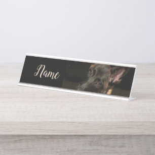 Porte-nom Pour Bureau Chien malinois
