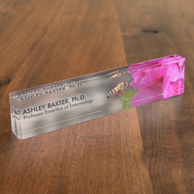 Porte-nom Professeur Entomologie Insectes BeeKeeper Hobbyist (Taille)