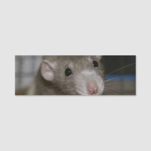 Porte-nom Rat curieux