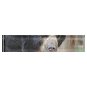 Porte-nom Visage fantastique d'un ours noir
