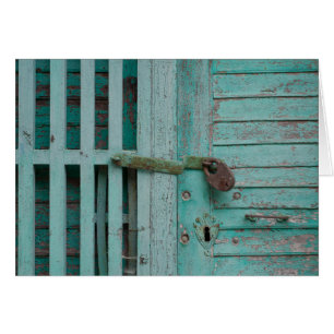 Porte Turquouise patinée