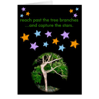 Portée après les branches d'arbre…