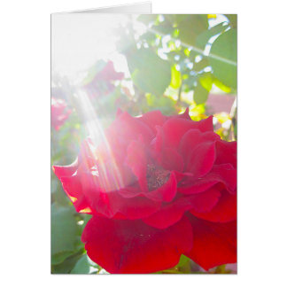 Portée pour le Sun (5)