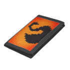 Coucher de soleil Elégant cygne noir Crochet artis