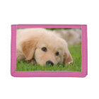 Golden Retriever mignon Chiot Dreaming Meadow, Pur