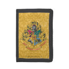 Harry Potter | Cimier de Poudlard - Couleur complè