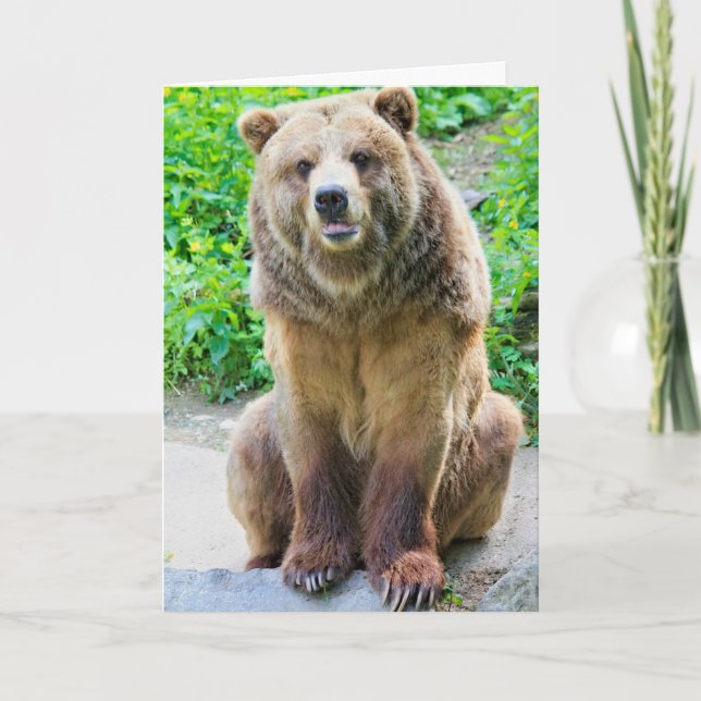 PORTEZ UN HUG GRIZZLY PORTEZ DES CARTES D'ANNIVERS (Devant)