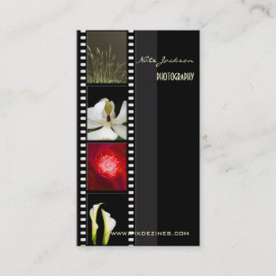 Portfolio business cards photos template