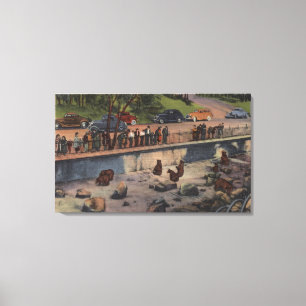 Portland, ORBear Dens in Washington Park Canvas Print