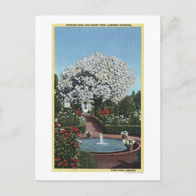 Portland, Oregon - Spanish Pool and Ghost Tree Postcard (Front)
