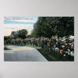 Portland, OregonView of a Rose Garden Poster