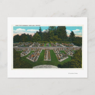 Portland, OregonView of the Rose Test Gardens Postcard