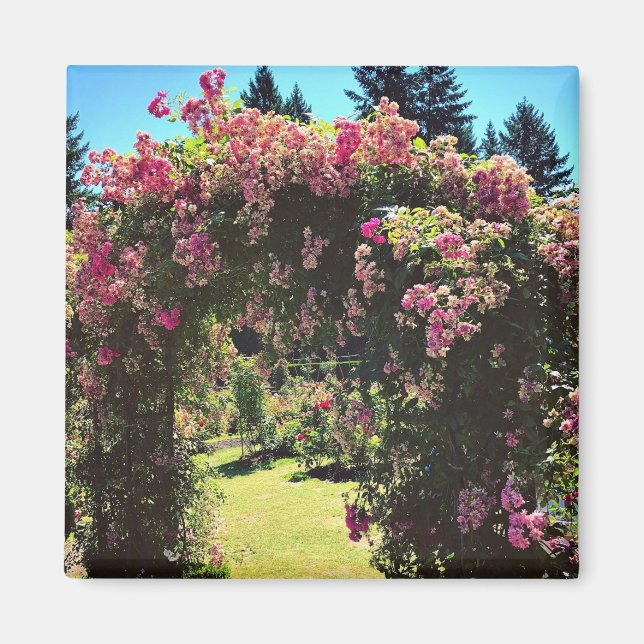 Portland Rose Garden, OR Magnet (Front)