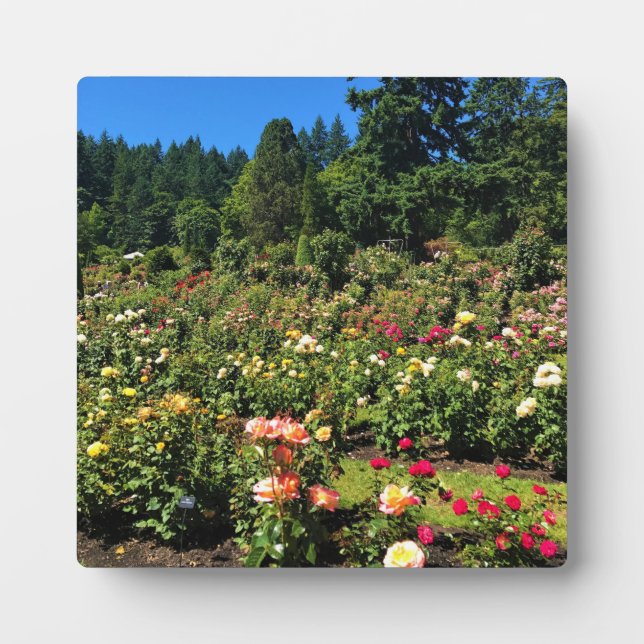 Portland Rose Garden, OR Plaque (Front)