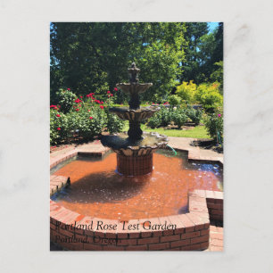 Portland Rose Garden, OR Postcard