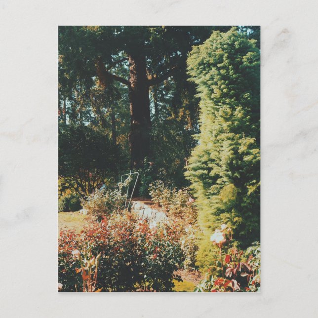 Portland Rose Garden Postcard (Front)